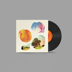 Past Is Prologue LP