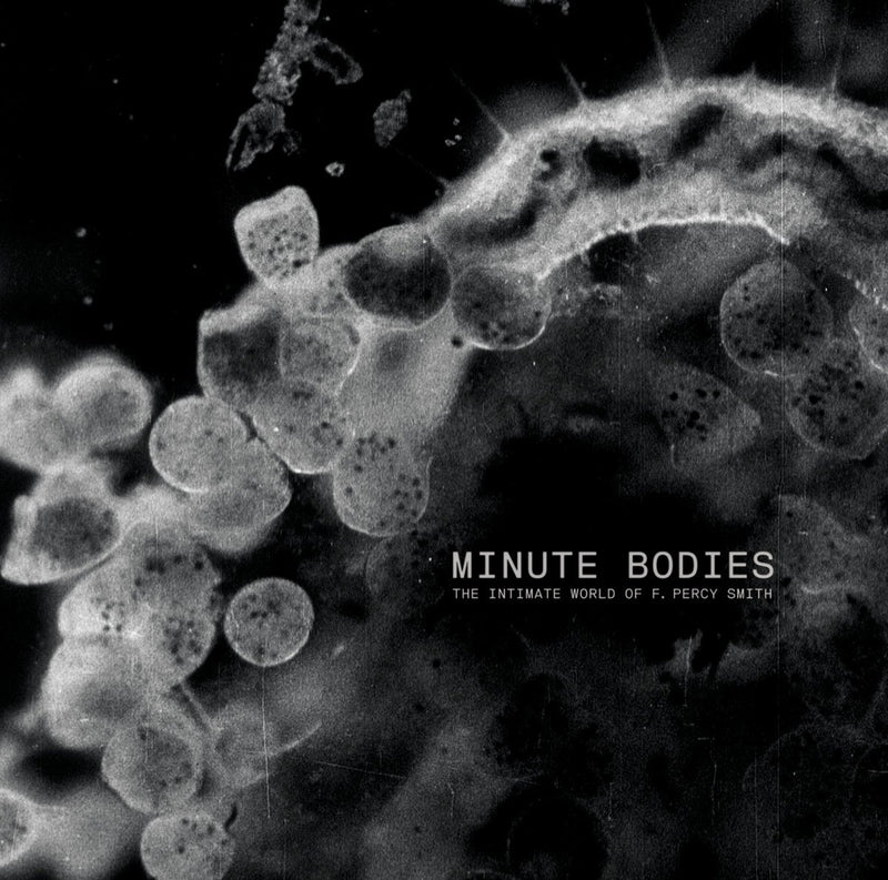 tindersticks Minute Bodies LP/DVD - Bingo Merch Official Merchandise Shop Official